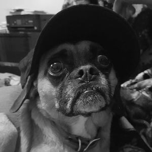 Meet your Posher, Timothy